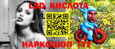 индика Новозыбков