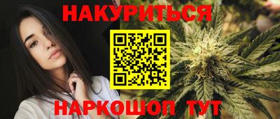 индика Новозыбков