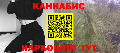 индика Новозыбков