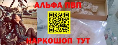индика Новозыбков